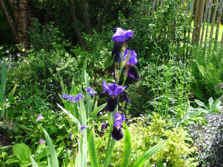 Le jardin des petits sentiers
